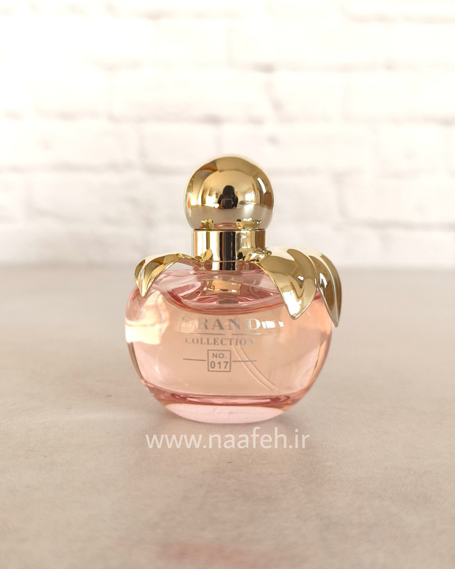 نینا ریچی نینا